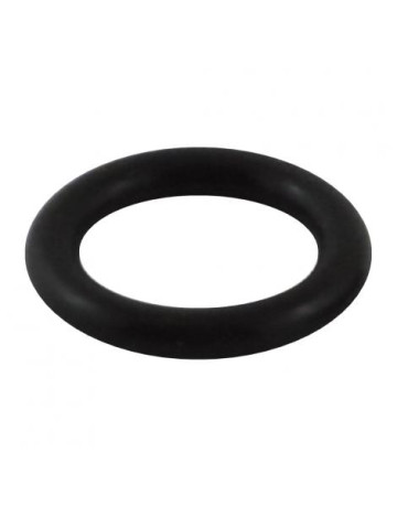 Keg Post O ring in Kegs and Kegging Hardware