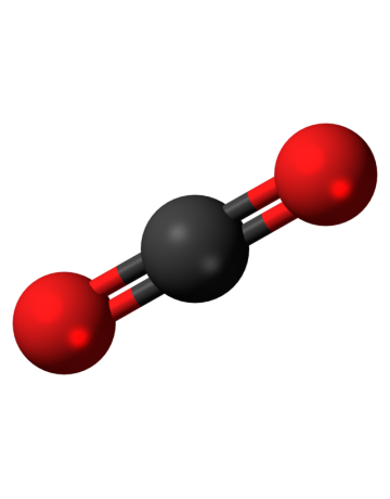 Co2 5 lb refill in CO2 Tanks & Supplies