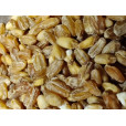 Crystal Wheat 3L by Malteurop - 1 lb