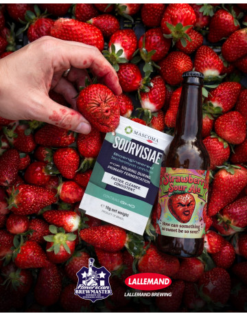 All Grain Strawberry Sour - Super Tart Ale All Grain Strawberry Sour - Super Tart Ale