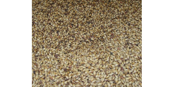 Crystal Malt  60L    1 oz in Specialty Grains