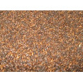 Roasted and Specialty Grains