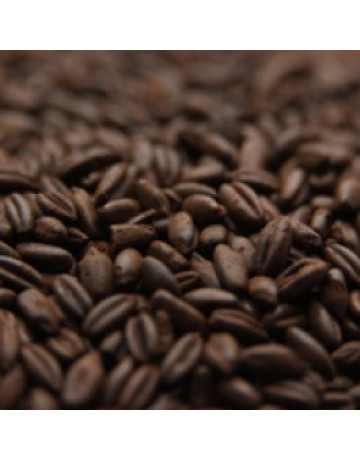 German Chocolate Rye Malt - 1 lb in Specialty Grains