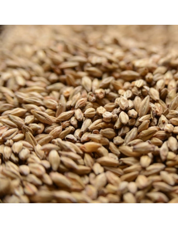 Honey Malt 1 lb for Specialty Grains by American Brewmaster Homebrew Supplies Honey Malt 1 lb in Specialty Grains