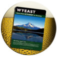 3724 Belgian Saison in Wyeast Belgian Ale Yeast
