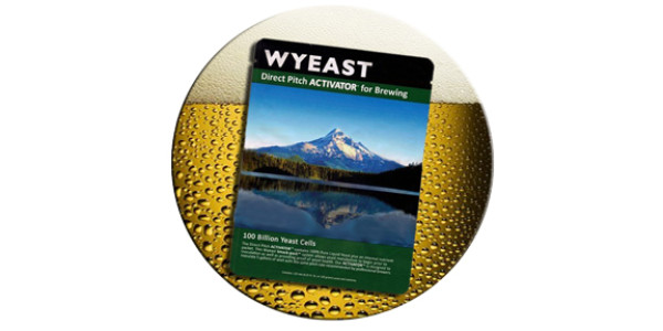 2206 Bavarian Lager Yeast in Wyeast Lager Yeast