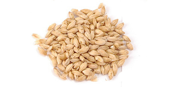 American 2 Row Pale Malt  1.2 Lovibond 1 lb in Base Grains