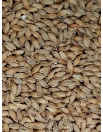 American 6-Row Pale Malt   1 oz in Base Grains