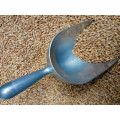 Base Grains
