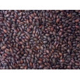 Black Barley  495 L  1 lb in Specialty Grains
