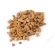 Brown Malt, 2-Row, Crisp Malting    3 lb in Specialty Grains