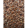 CaraWheat Malt               1 ozs in Specialty Grains