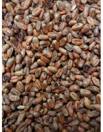 CaraWheat Malt               1 ozs in Specialty Grains