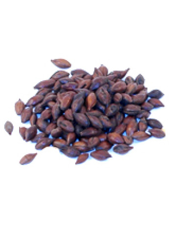 Chocolate Malt - Oz in Specialty Grains