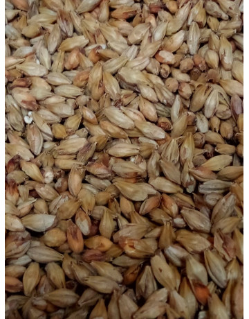 Dark Munich Malt    1 oz in Base Grains