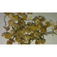 Dried Chamomile  1oz in Herbs and Spices