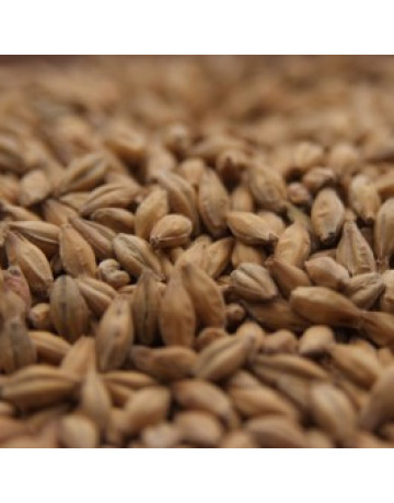 Golden Promise     1 lb in Base Grains