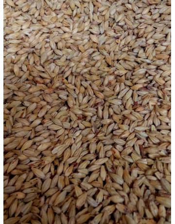 Honey Malt        1 oz in Specialty Grains