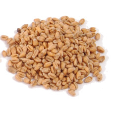 Malted Wheat (Wheat Malt)                    1lbs