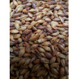 Melanoidin Malt                  1 ozs in Base Grains