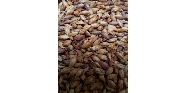 Melanoidin Malt                  1 ozs in Base Grains