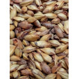 Melanoidin Malt                  1 ozs in Base Grains