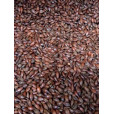 Roasted Barley       1 oz for Specialty Grains by American Brewmaster Homebrew Supplies Roasted Barley       1 oz in Specialty Grains