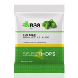 Triumph Hop Pellets 1oz for Hop Pellets by American Brewmaster Homebrew Supplies Triumph Hop Pellets 1oz in Hop Pellets