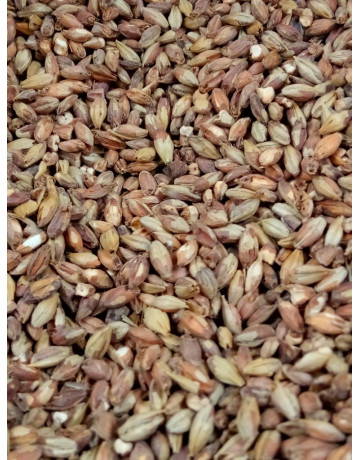 Victory Malt     1 oz in Specialty Grains