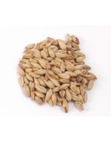 Victory Malt  28 L         1 lb in Specialty Grains