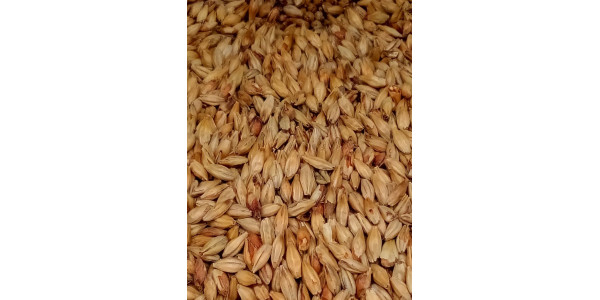 Weyermann Abbey Malt - 1oz for Base Grains by American Brewmaster Homebrew Supplies Weyermann Abbey Malt - 1oz in Base Grains